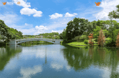 海、、成都、大连、姑苏等城市优化住房公积金