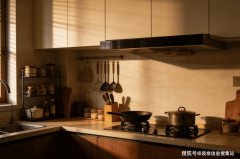 仅可通过收集或电视领会相